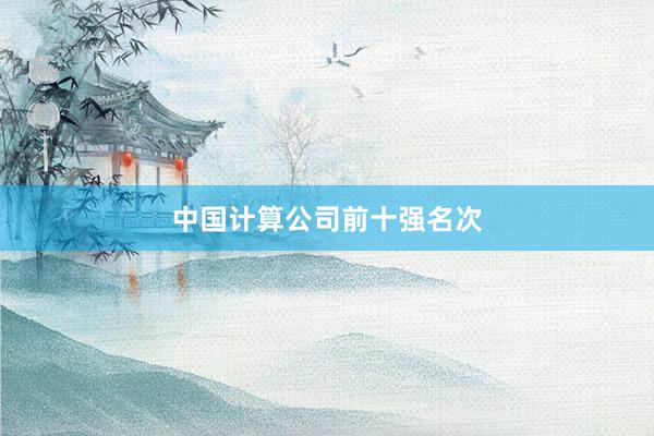 中国计算公司前十强名次