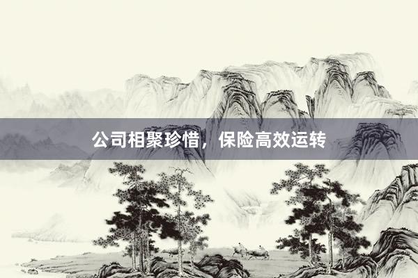 公司相聚珍惜，保险高效运转