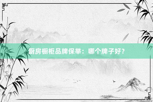 厨房橱柜品牌保举：哪个牌子好？