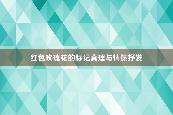 红色玫瑰花的标记真理与情愫抒发